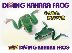 BABY DIVING KAHARA FROG 2